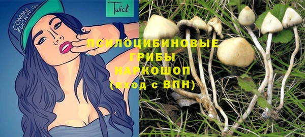 эйфоретик Арсеньев
