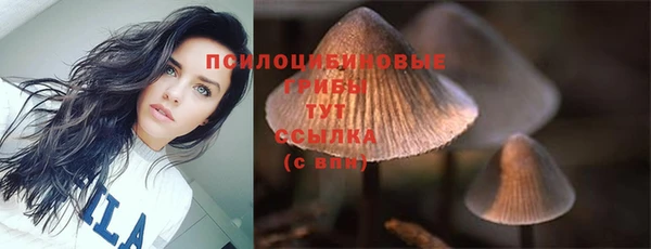 скорость Аркадак
